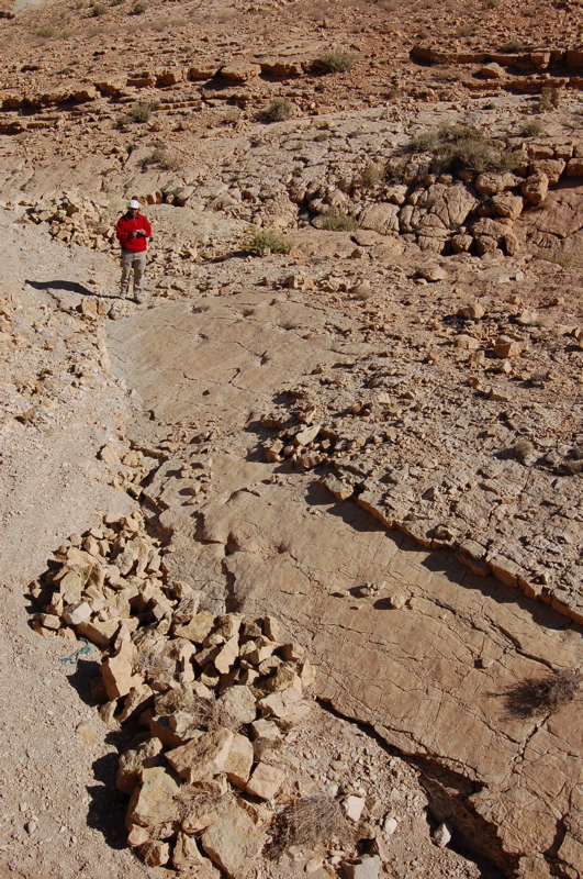 dsc_0227.jpg