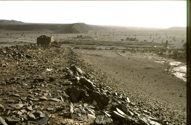 tachoukalt_agadir_1.jpg