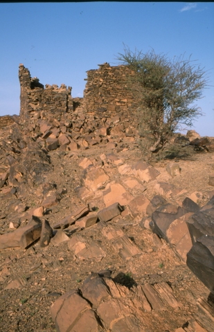 tachoukalt_tagadirt.jpg