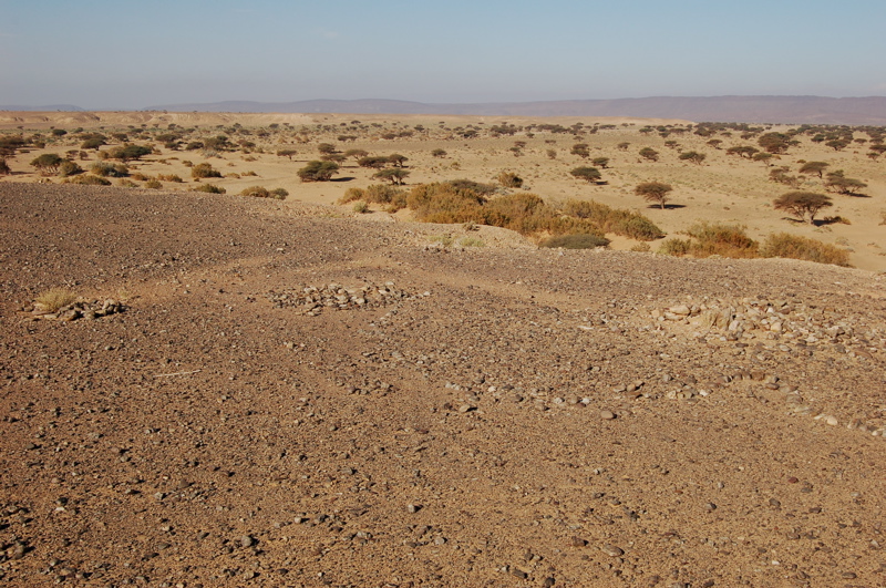 07._dsc_0125.jpg