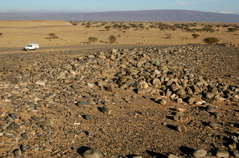 11._dsc_0106.jpg
