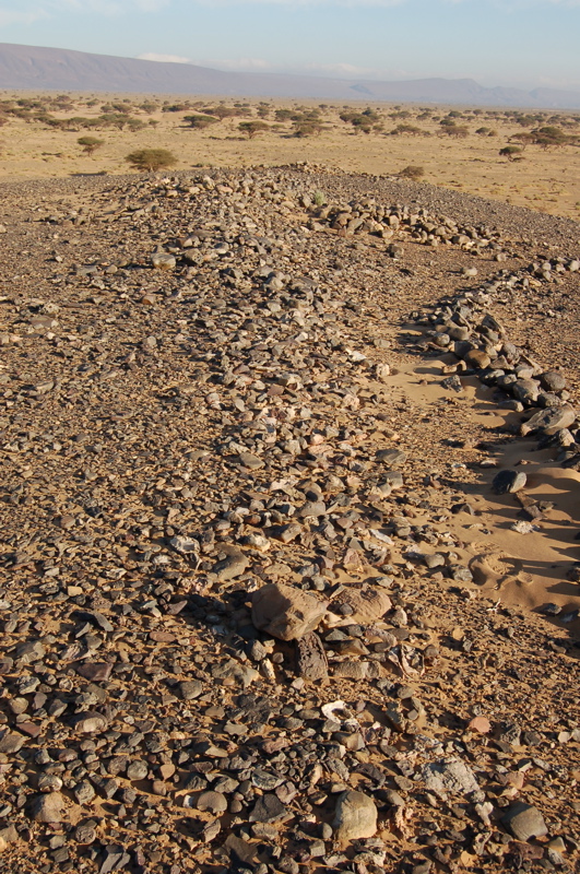 12._dsc_0105.jpg