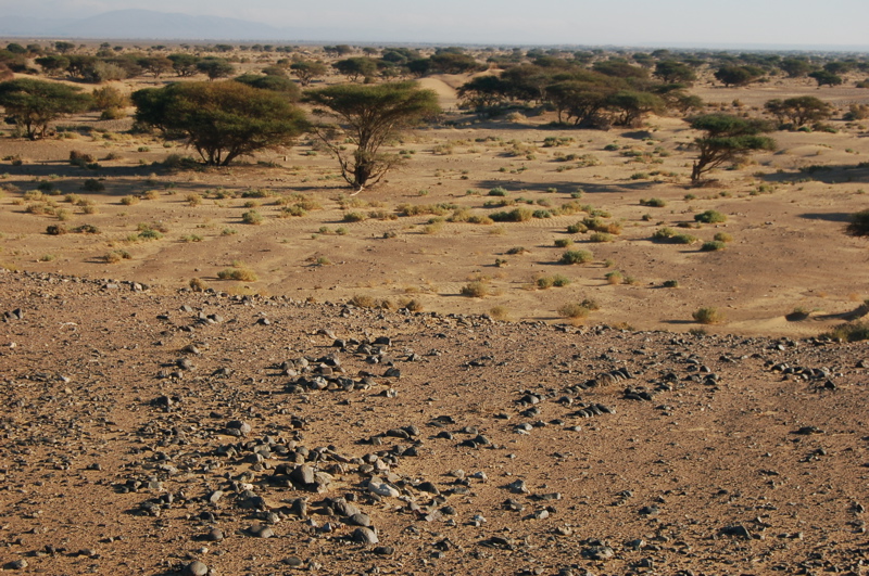 13._dsc_0102.jpg