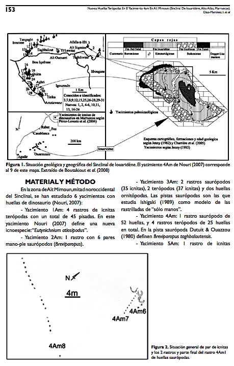 lusitana_2009_3.jpg