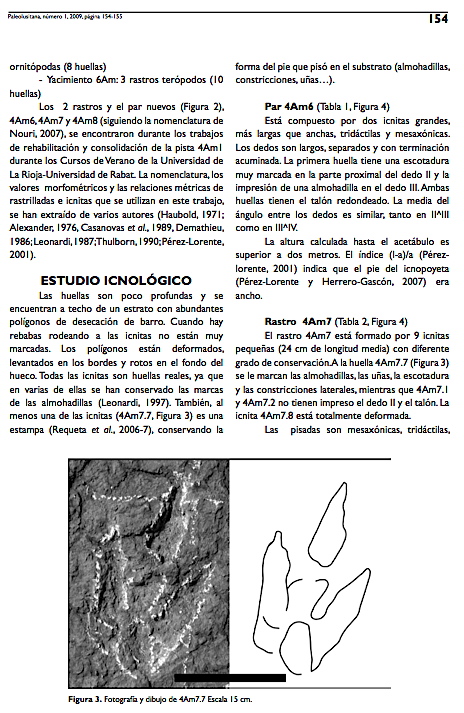 lusitana_2009_4.jpg