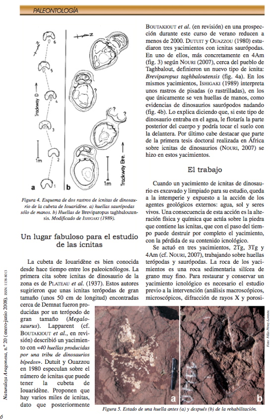 demnate_2007_3.jpg