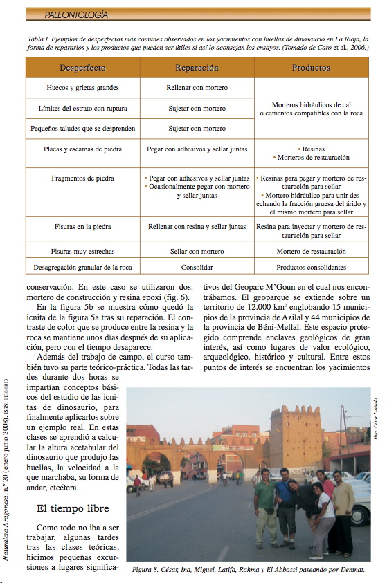 demnate_2007_5.jpg