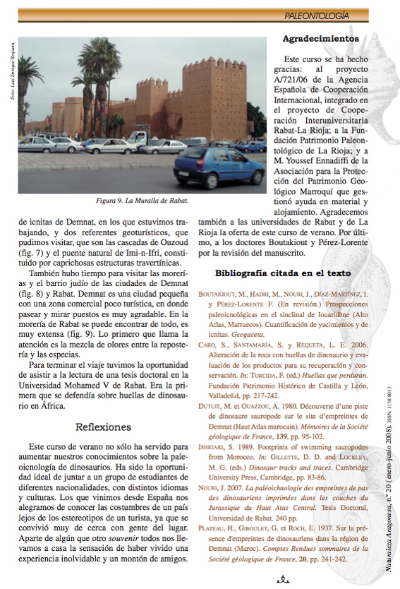 demnate_2007_6.jpg